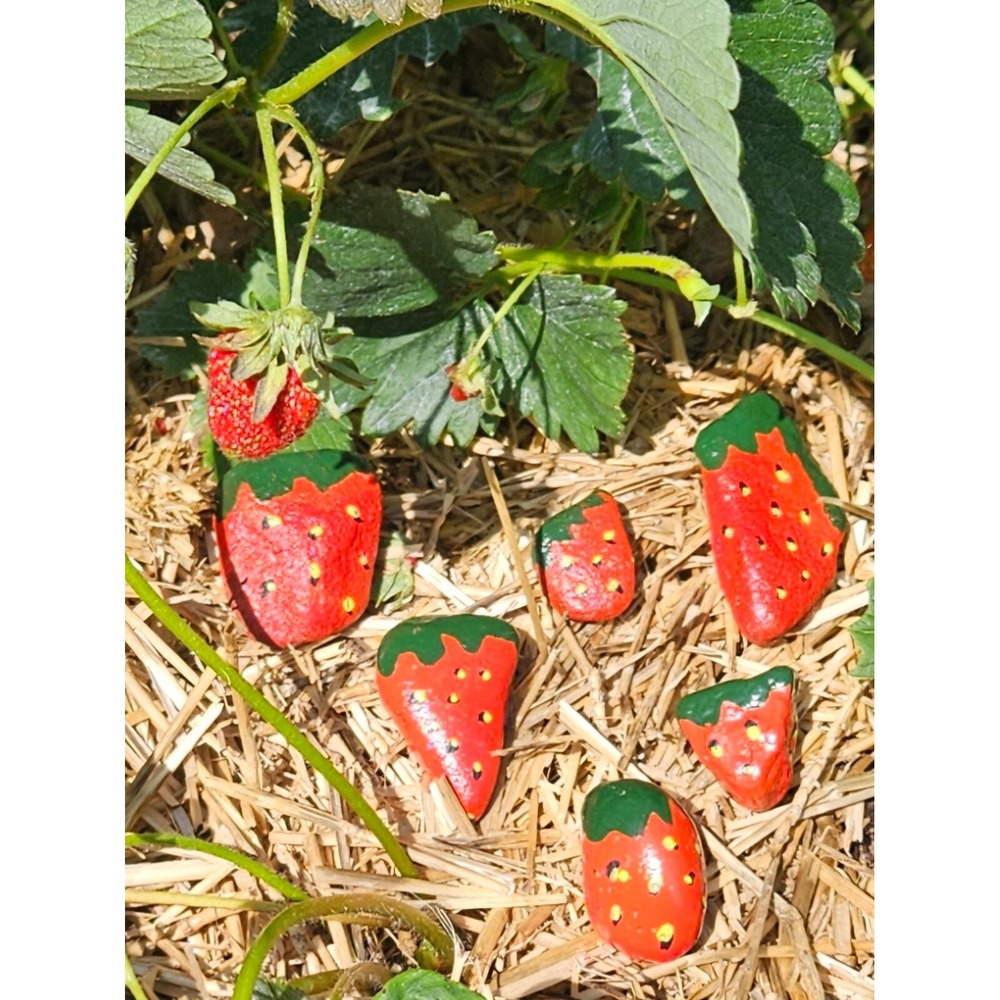 Strawberry Painted‎ Rocks Garden Art Decor Paperweights Set of 6
